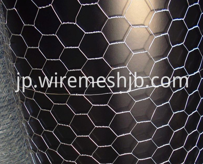 Hexagonal Mesh Fence